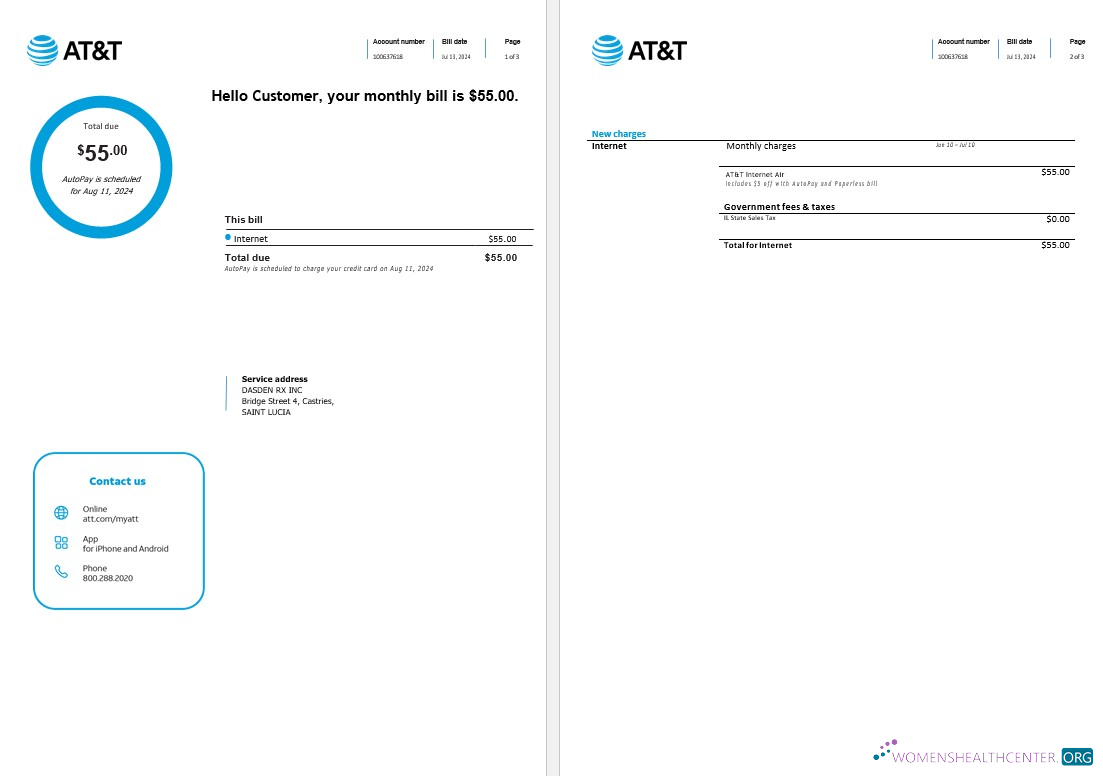 Download Saint Lucia internet business utility bill Word and PDF template, 3 pages1 Photoshop template